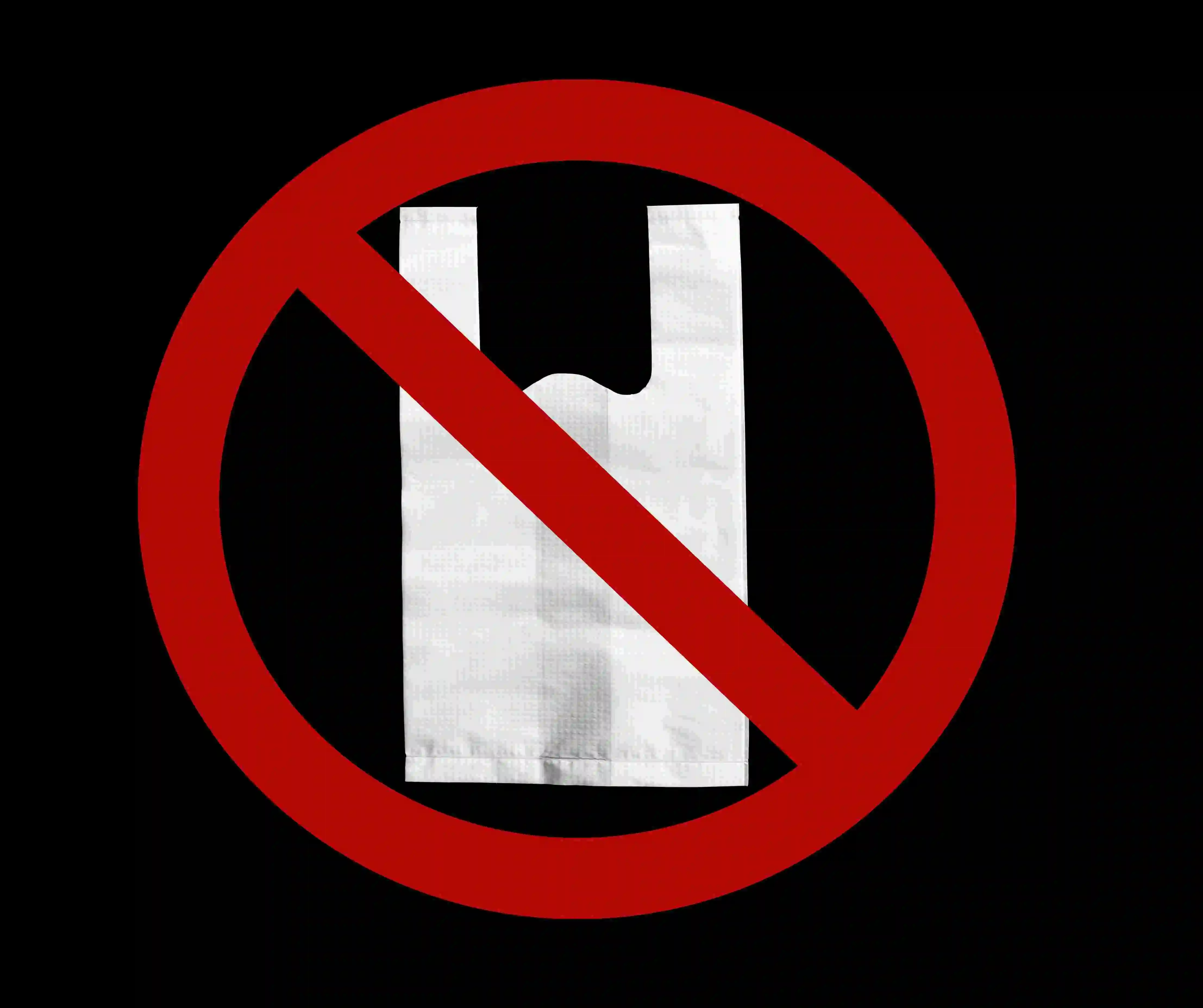 Indian government plastic ban notification with eco-friendly alternatives