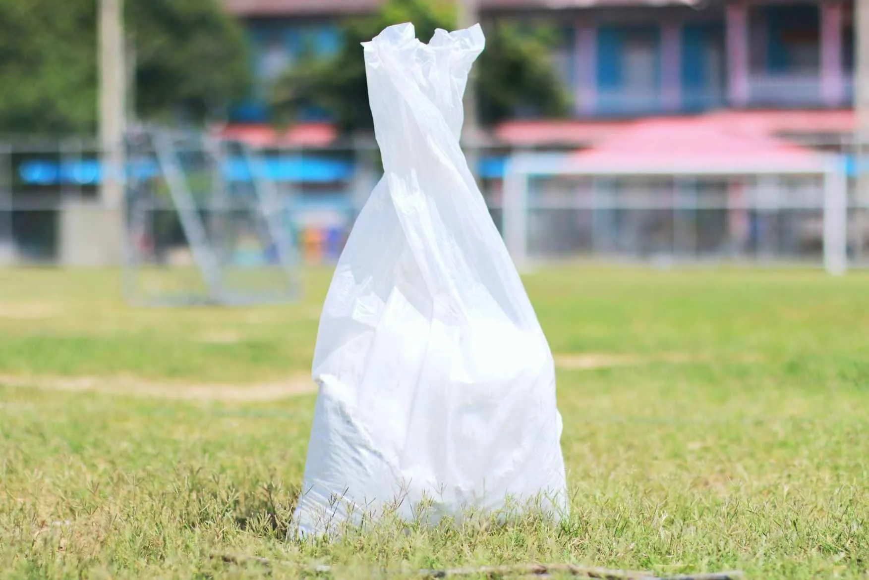  compostable carry bag
