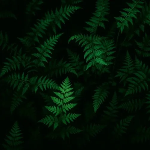forest background for Compostable Products