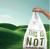 Compostable Grocery Bags