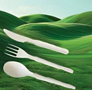 Compostable Grocery Bags